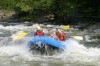 Thumbs/tn_Img_7391.jpg