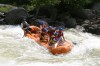 Thumbs/tn_Img_7403.jpg