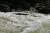 Thumbs/tn_Img_7406.jpg