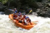 Thumbs/tn_Img_7429.jpg
