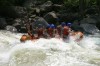 Thumbs/tn_Img_7437.jpg