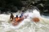 Thumbs/tn_Img_7442.jpg