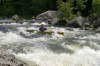 Thumbs/tn_Img_7461.jpg