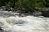 Thumbs/tn_Img_7462.jpg