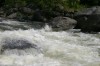 Thumbs/tn_Img_7491.jpg