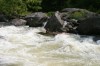 Thumbs/tn_Img_7494.jpg