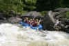 Thumbs/tn_Img_7606.jpg