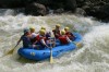 Thumbs/tn_Img_7610.jpg