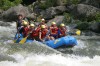 Thumbs/tn_Img_7617.jpg