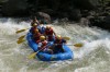 Thumbs/tn_Img_7627.jpg