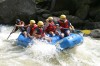 Thumbs/tn_Img_7642.jpg