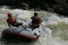 Thumbs/tn_Img_7663.jpg
