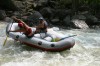 Thumbs/tn_Img_7666.jpg