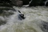 Thumbs/tn_Img_7687.jpg
