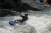 Thumbs/tn_Img_7693.jpg