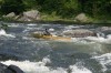 Thumbs/tn_Img_7700.jpg