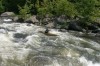 Thumbs/tn_Img_7703.jpg