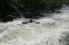 Thumbs/tn_Img_7708.jpg