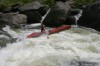 Thumbs/tn_Img_7727.jpg
