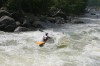 Thumbs/tn_Img_7899.jpg