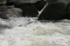 Thumbs/tn_Img_8063.jpg