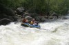 Thumbs/tn_Img_8185.jpg