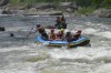 Thumbs/tn_Img_8192.jpg