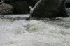 Thumbs/tn_Img_8194.jpg