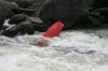 Thumbs/tn_Img_8208.jpg