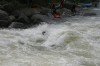 Thumbs/tn_Img_8217.jpg