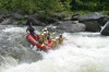 Thumbs/tn_Img_8222.jpg