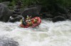 Thumbs/tn_Img_8227.jpg