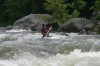 Thumbs/tn_Img_8275.jpg