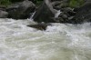 Thumbs/tn_Img_8289.jpg