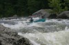 Thumbs/tn_Img_8299.jpg