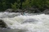 Thumbs/tn_Img_8302.jpg