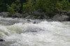 Thumbs/tn_Img_8307.jpg