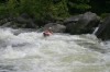 Thumbs/tn_Img_8333.jpg