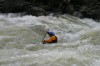 Thumbs/tn_Img_8366.jpg