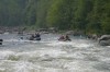 Thumbs/tn_Img_8388.jpg