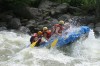 Thumbs/tn_Img_8408.jpg