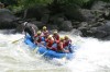 Thumbs/tn_Img_8412.jpg