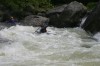 Thumbs/tn_Img_8429.jpg