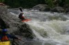 Thumbs/tn_Img_8447.jpg