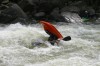 Thumbs/tn_Img_8464.jpg