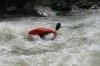 Thumbs/tn_Img_8465.jpg