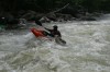 Thumbs/tn_Img_8468.jpg