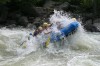 Thumbs/tn_Img_8494.jpg