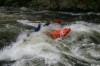 Thumbs/tn_Img_9064.jpg