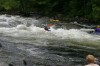 Thumbs/tn_Img_9068.jpg